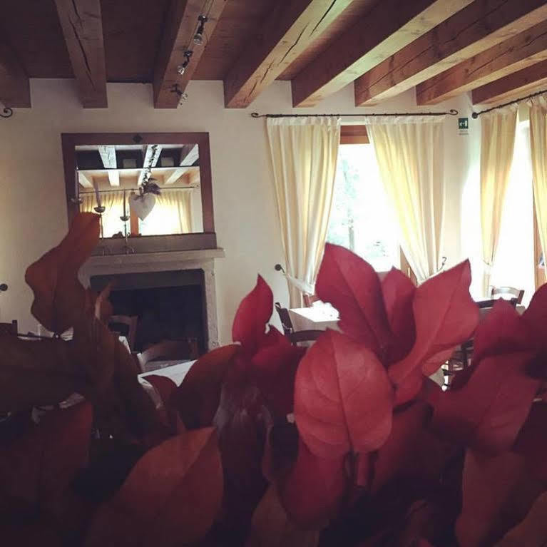 Hotel Villa Dei Carpini Oderzo Dış mekan fotoğraf